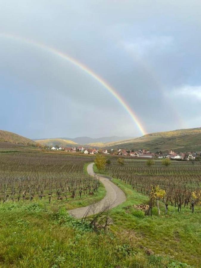 술츠마 Un Petit Coin D'Alsace 빌라 외부 사진