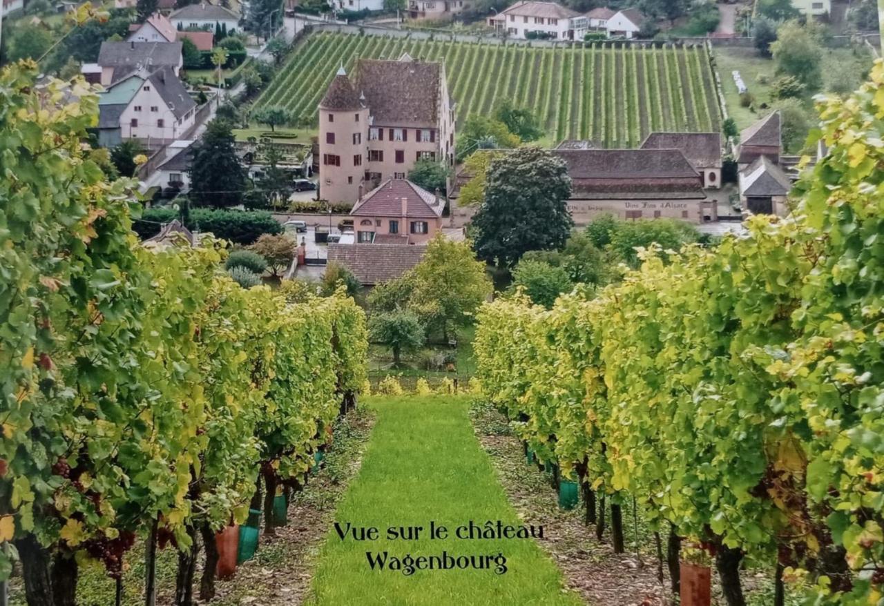 술츠마 Un Petit Coin D'Alsace 빌라 외부 사진