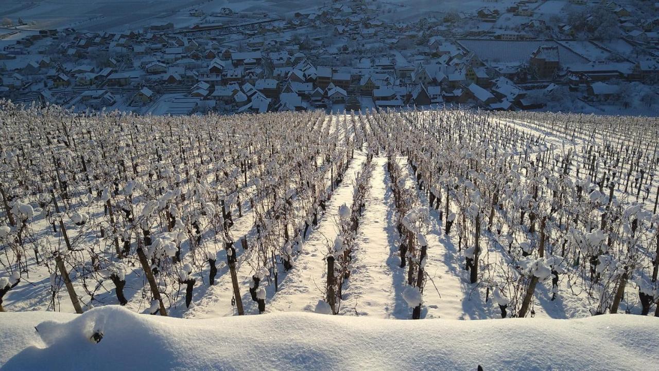 술츠마 Un Petit Coin D'Alsace 빌라 외부 사진