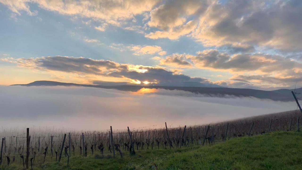 술츠마 Un Petit Coin D'Alsace 빌라 외부 사진