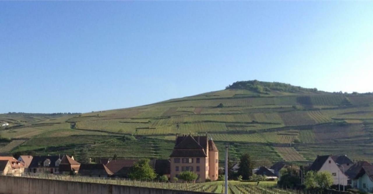 술츠마 Un Petit Coin D'Alsace 빌라 외부 사진